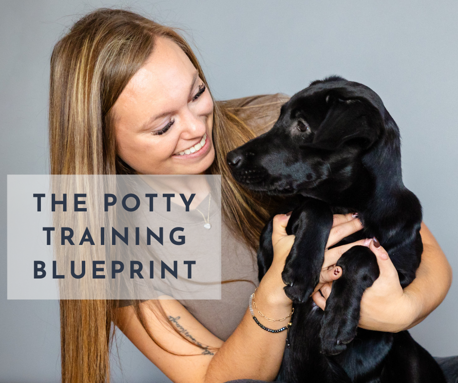 Potty Training Blueprint